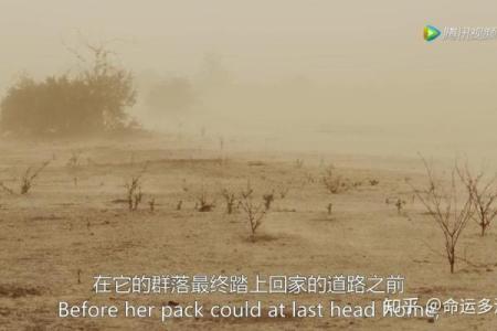 命运的波折：为何我总是行走在坎坷的道路上