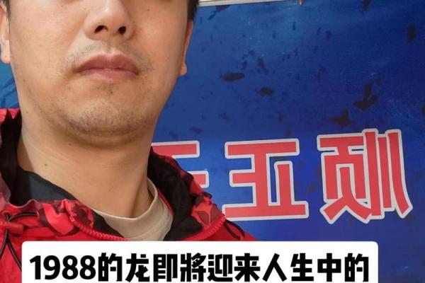 88年出生的龙，命缺什么？解析与建议！