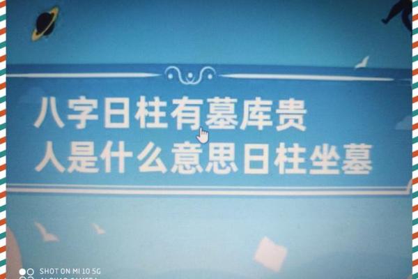 九五年十二月，命运与人生的交织之旅：揭秘命理的奥秘