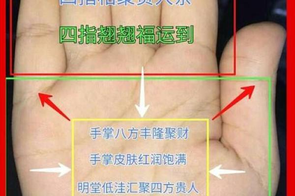 揭秘上等命盘：从手相看你的人生潜力与财富运势