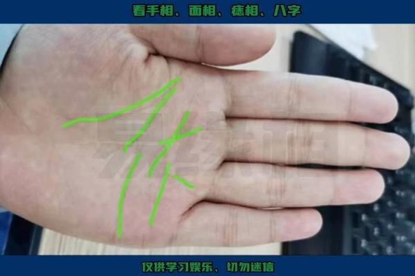 揭秘上等命盘：从手相看你的人生潜力与财富运势