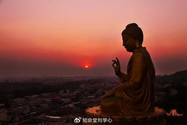 金马与什么命最配？探寻命理和谐之道