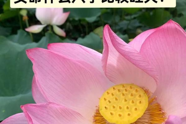揭秘旺夫女命：八字如何决定女性运势与家庭幸福