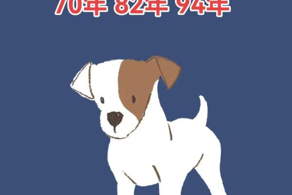 82年狗狗命运解析：揭秘你的生肖狗的性格与运程！