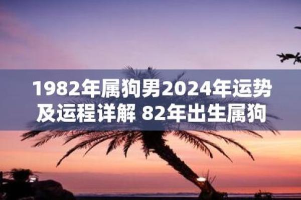 82年狗狗命运解析：揭秘你的生肖狗的性格与运程！