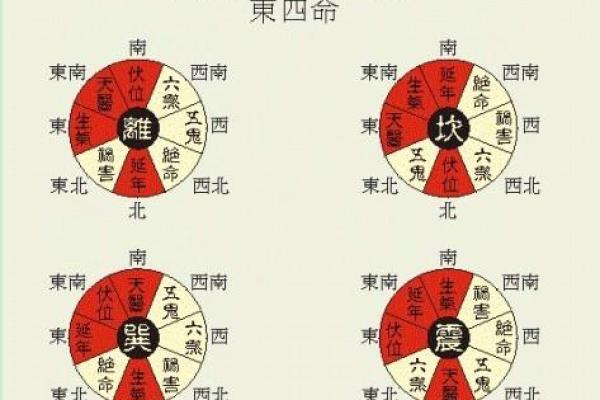 1971年出生的宅命解析：命运与房屋的奇妙联系