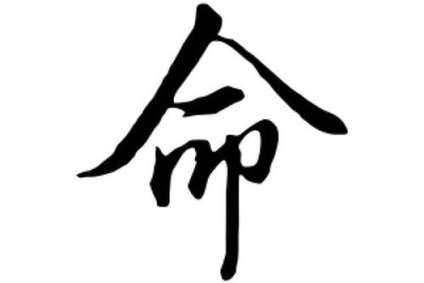 命的部首与人生哲理：探讨命字背后的意义与启示