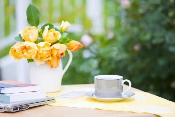 探寻轻骑玄妙之命：寻找内心的自由与智慧