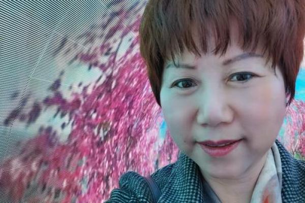 62岁属什么生肖，走进人生的智慧与命运之旅