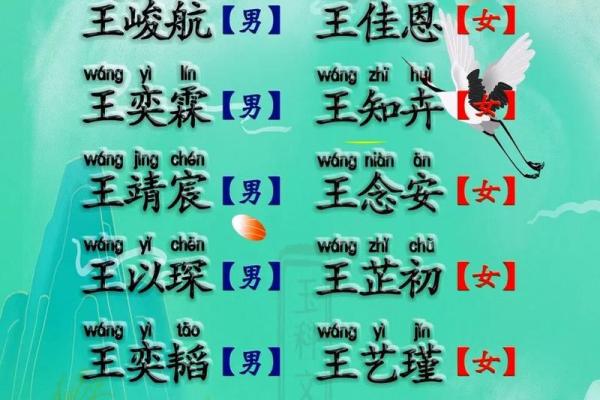 2023年兔宝宝的命运分析：阐述兔年的精髓与未来方向