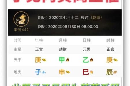 探秘木命之人：与木命相生的属相与性格特征
