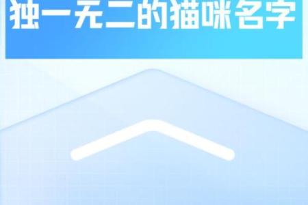 探秘猫咪的九条命：灵动与神秘的代表