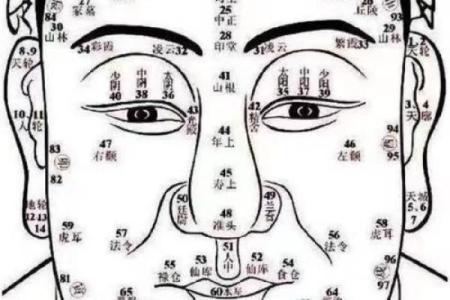 手相揭秘：看男人命格的秘密，揭示命运与性格的关系！