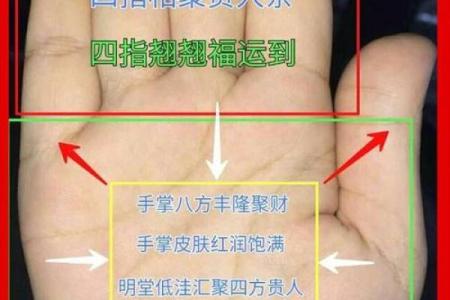 揭秘上等命盘：从手相看你的人生潜力与财富运势