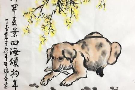 2018狗年：解读五行命理与狗的关系，揭开命运的奥秘！
