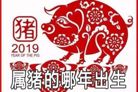 47年属什么猪是什么命？解密1969年猪年的命运与性格特征！