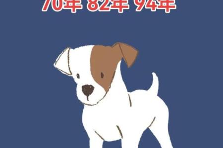 82年狗狗命运解析：揭秘你的生肖狗的性格与运程！