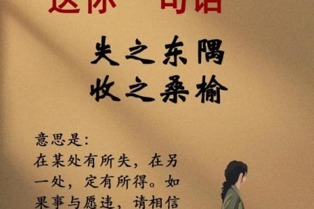 女人的命运：潮汕话的深刻解读与人生智慧