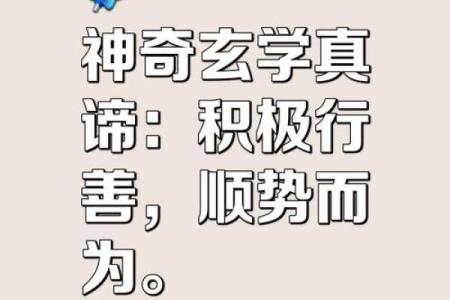 寒命的深意与启示：探寻命运的真谛