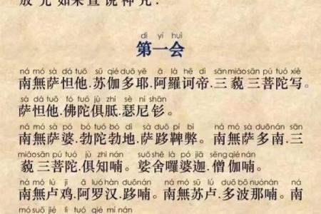 2022年出生宝宝的命运解读：新生命的星辰与未来之路