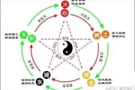 解密命理学：探讨它为何总让人感到困惑与难懂