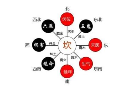 解密2016年：四命之谜与生命之道的探讨