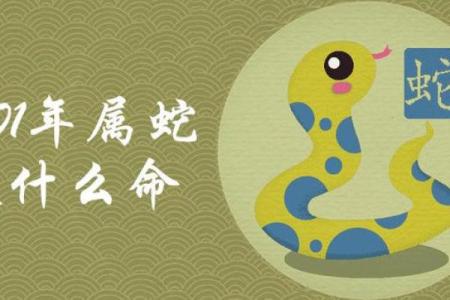 2001年出生的蛇命人：命运的神秘与个性特征