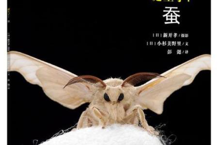 《命运的束缚与追寻：探索“没有那个命”中的生命故事》