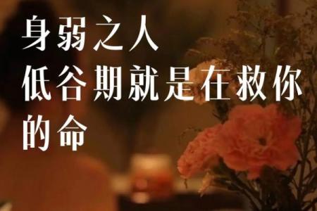 探寻人有三命：父母之命在我们命运中的意义与影响