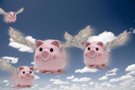 40岁属猪人的命运解析：财富与幸福的双重享受