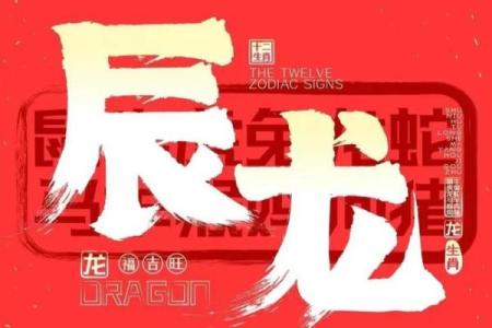 23岁属龙的命运解析：揭示未来的成功潜力与生活特质