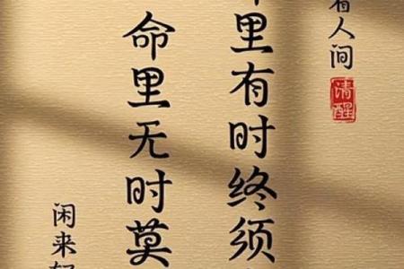 命理学中的八大格局与人生智慧，助你掌握命运！