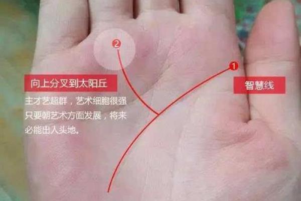 揭开2001年出生女孩的命理之谜：智慧与魅力的结合