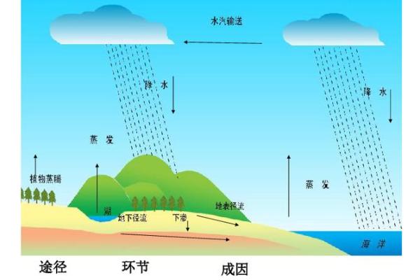 水的象征——解析1996年出生的水命人与生活智慧