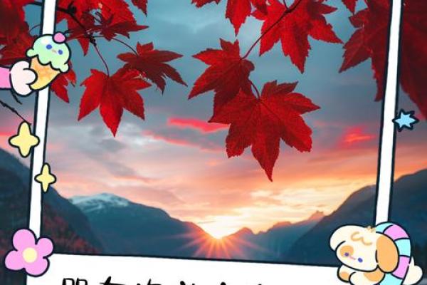 探索未知的奇妙世界：旅行带给我们的启示与思考