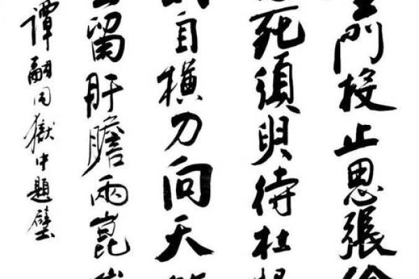 探寻“命不直”背后的深意与人生智慧