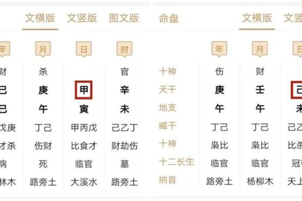揭示男命日支正印的神秘力量与深刻意义