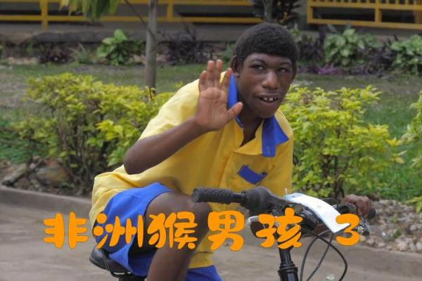 2004年猴男的命运解秘：机灵与智慧的结合之路