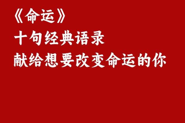命运的苦难：那些被生活重压的人们的真实故事