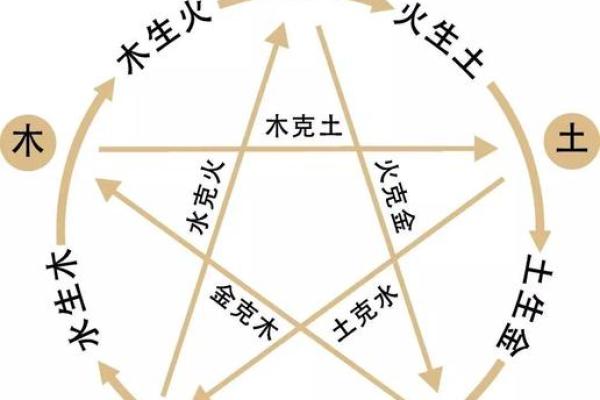 探秘风水与火命论：如何运用五行提升生活品质