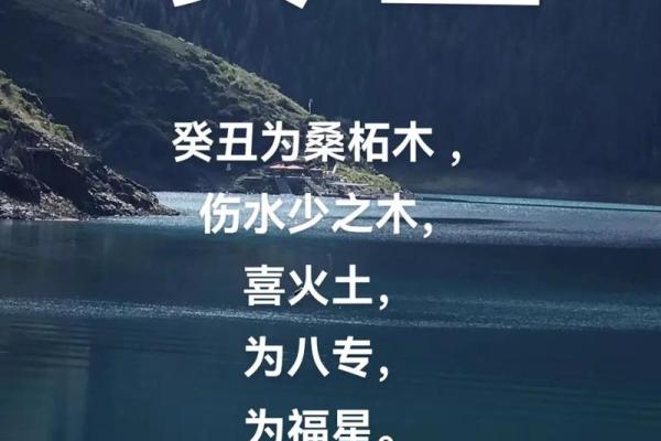 探索20000年纳音命理的奥秘与人生智慧