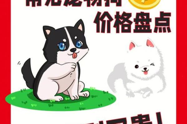 狗生肖男生命运解析：适合的职业与人生规划
