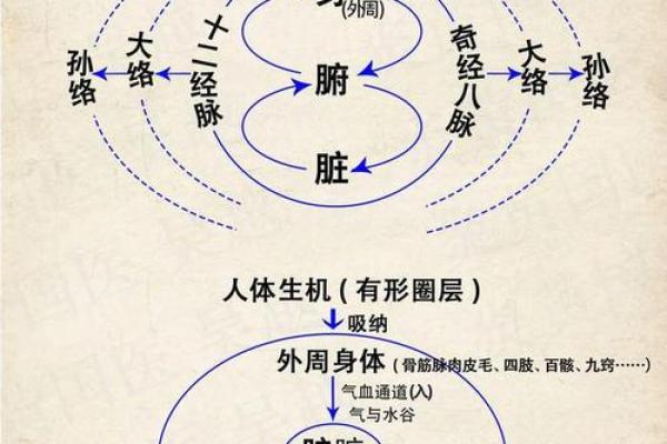 你的出生月份代表的命运:解析每月的生命能量与个性特征 你的出生月份代表的命运:解析每月的生命能量与个性特征