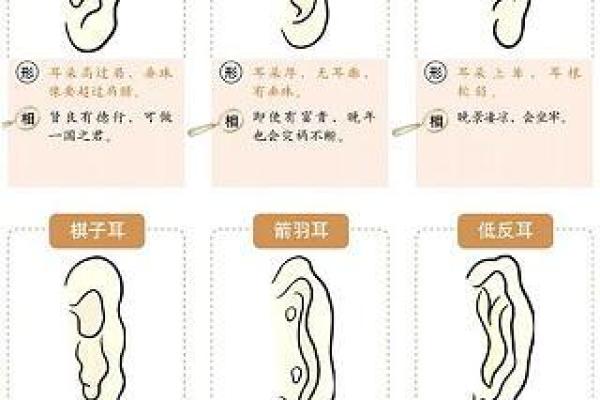 67年羊的命理解析:性格、缺陷与完美人生的追寻 67年羊的命理解析:性格、缺陷与完美人生的追寻