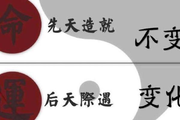 公子为何必须四命：命运的选择与人生的蜕变