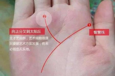 揭开2001年出生女孩的命理之谜：智慧与魅力的结合