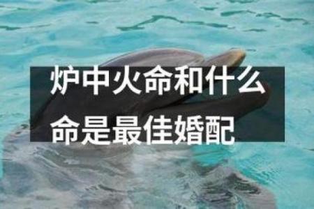 1996腊月火命的特性与命运解析