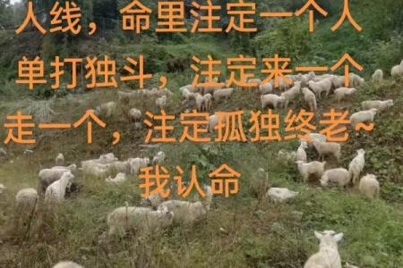 揭秘男命光棍命：八字中隐藏的孤独之谜