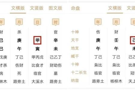 揭示男命日支正印的神秘力量与深刻意义