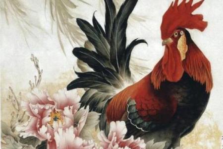 54属鸡的命运解析：如何把握人生机会，展翅高飞！